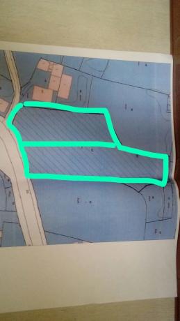 Terreno en sisto suelo s/n