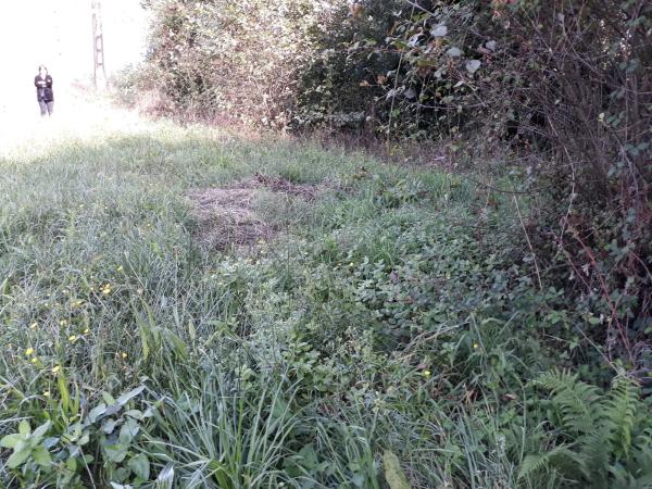 Terreno en Lugar Regueira, km 24