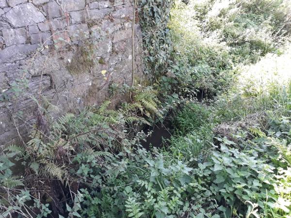 Terreno en Lugar Regueira, km 24