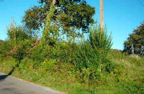 Terreno en San Cristovo s/n