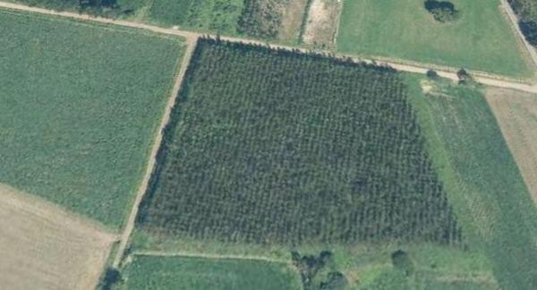 Terreno en Fonte Canle, 506 PolgonoParcela