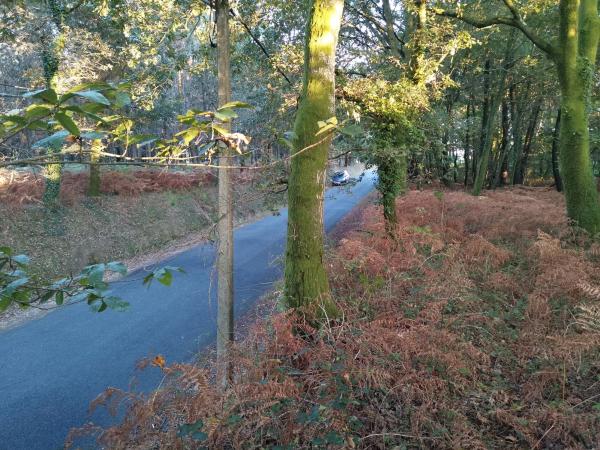 Terreno en Aldea Reino, km 0