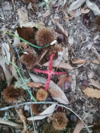 Terreno en Aldea Reino, km 0