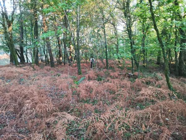 Terreno en Aldea Reino, km 0