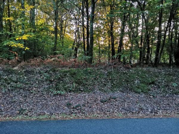 Terreno en Aldea Reino, km 0