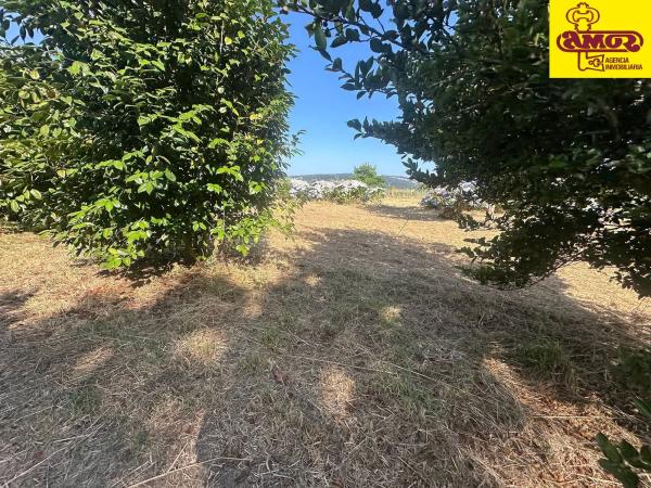 Terreno en Lugar Sales