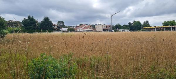 Terreno en Aldea Raíces