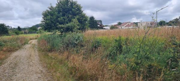 Terreno en Aldea Raíces