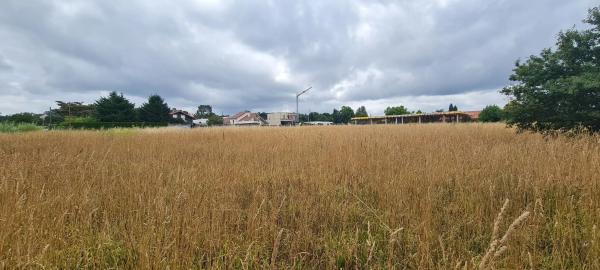 Terreno en Aldea Raíces