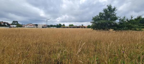 Terreno en Aldea Raíces