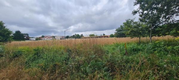 Terreno en Aldea Raíces