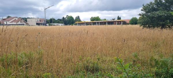 Terreno en Aldea Raíces