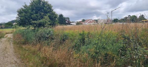 Terreno en Aldea Raíces