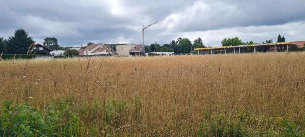 Terreno en Aldea Raíces