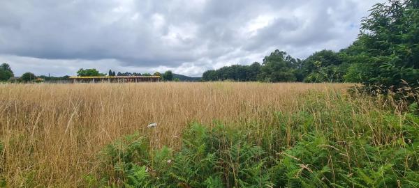 Terreno en Aldea Raíces