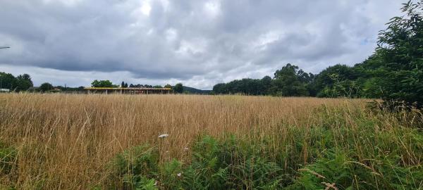 Terreno en Aldea Raíces