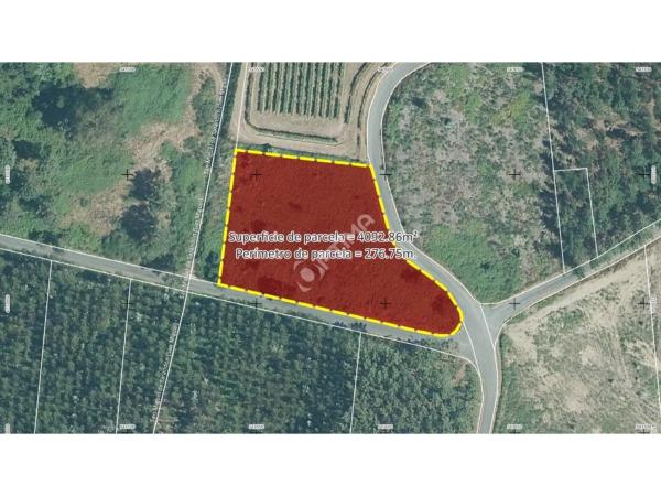 Terreno en Dp-8901, 42