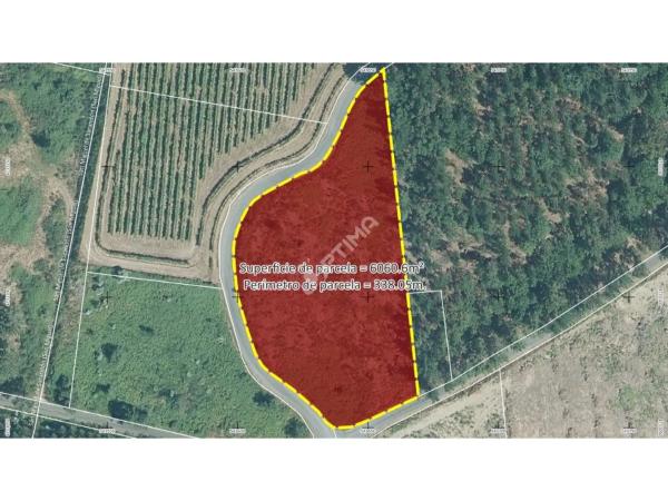 Terreno en Dp-8901, 42