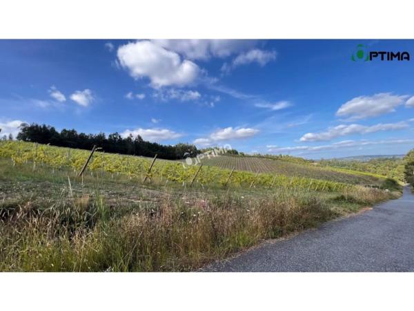 Terreno en Dp-8901, 42