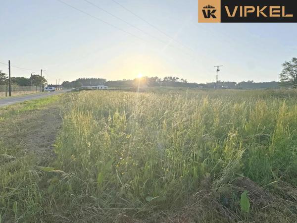 Terreno en lugar malfurado