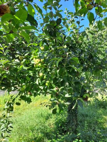 Terreno en Lavacolla, km 20