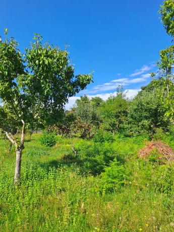 Terreno en Lavacolla, km 20