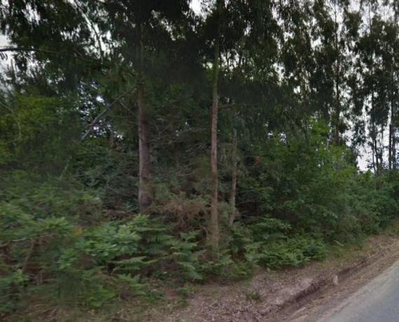 Terreno en Lugar Igrexa