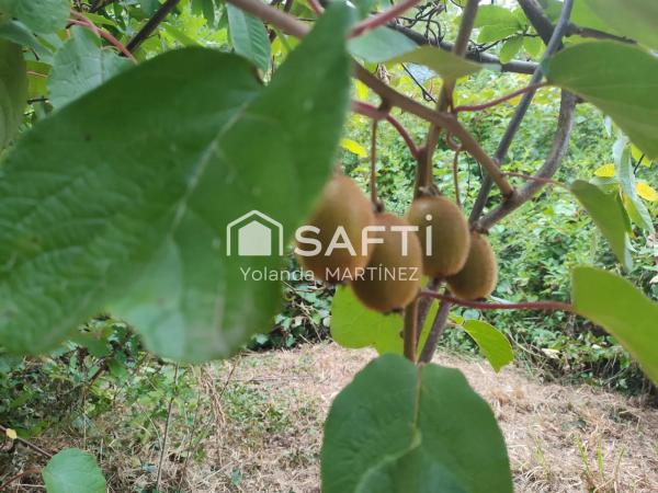 Terreno en Agro da raxeira