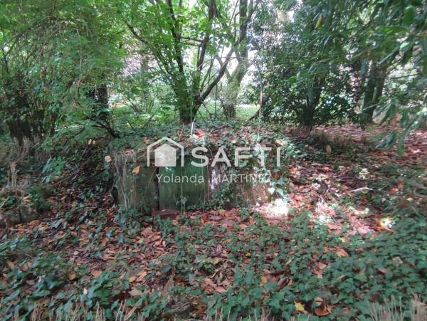 Terreno en Agro da raxeira