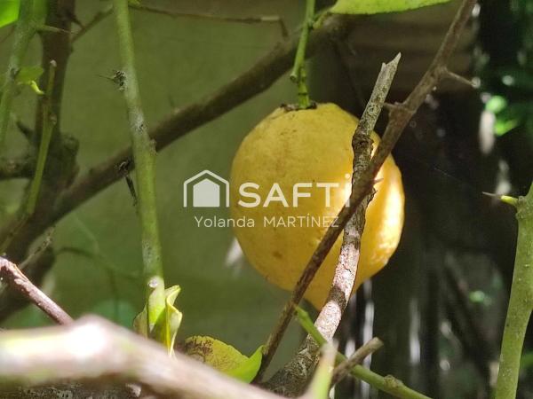 Terreno en Agro da raxeira