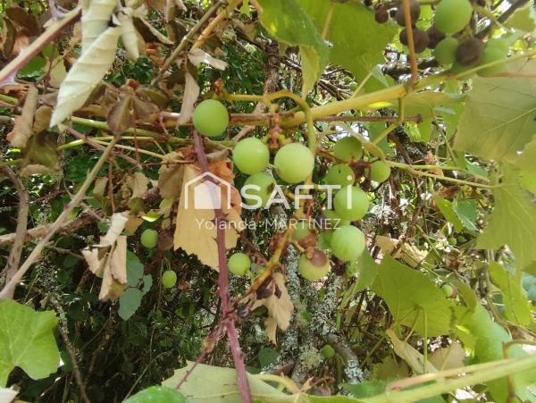 Terreno en Agro da raxeira