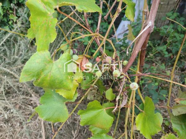 Terreno en Agro da raxeira
