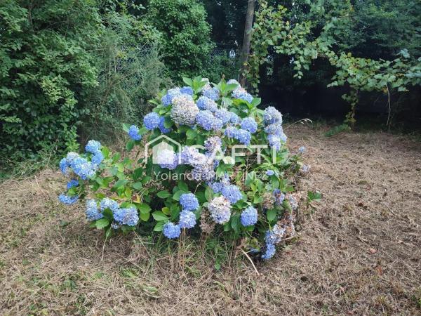 Terreno en Agro da raxeira