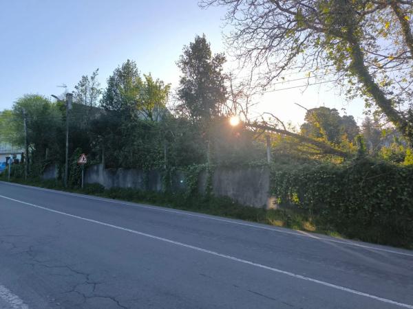 Terreno en calle Magdalena, 26