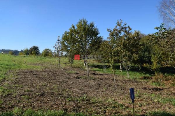Terreno en Lugar Carballo