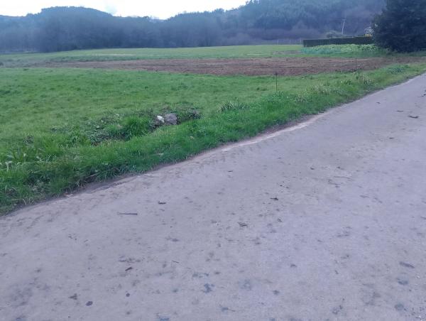 Terreno en camino Sigueiro Oroso s/n