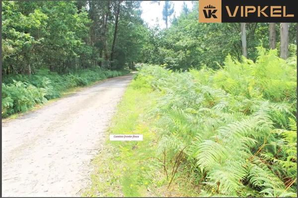 Terreno en Aldea Fraiz