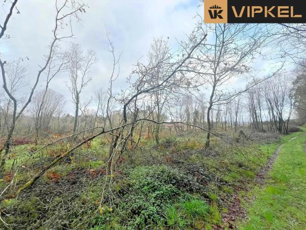 Terreno en Aldea Fraiz