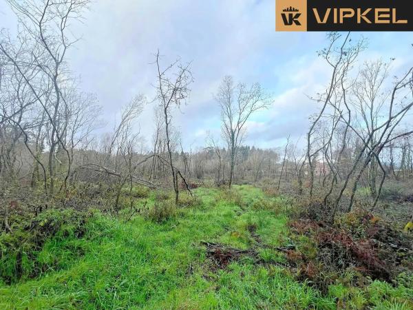 Terreno en Aldea Fraiz