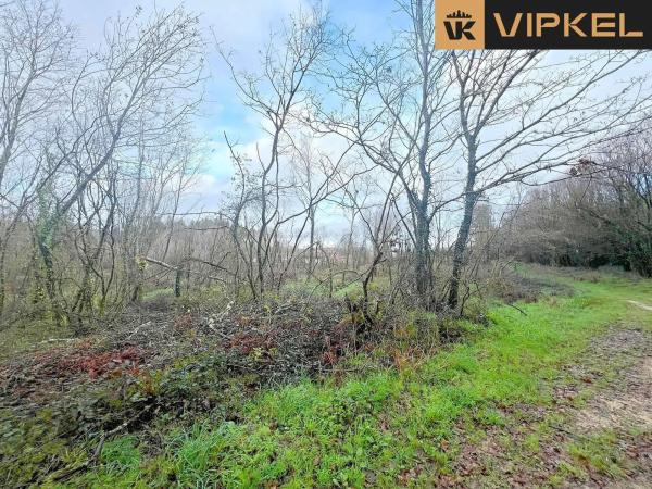 Terreno en Aldea Fraiz