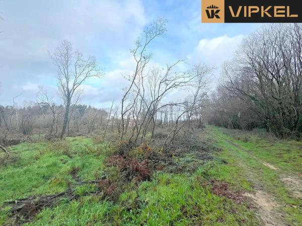 Terreno en Aldea Fraiz