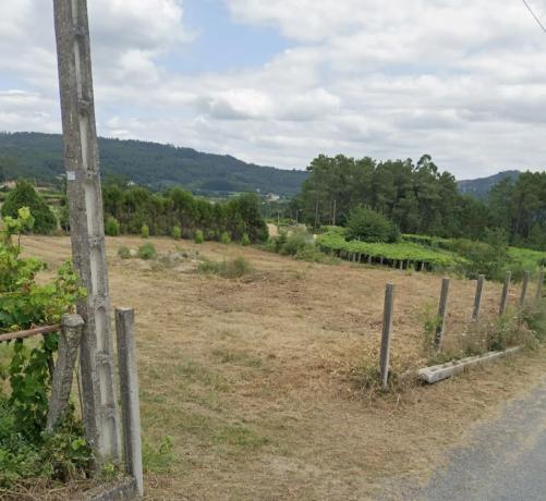 Terreno en Lugar Lagoa, 3