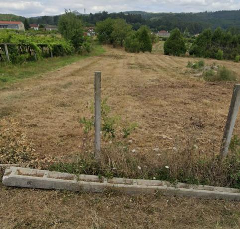 Terreno en Lugar Lagoa, 3