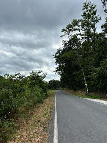 Terreno en Cp-0201, 5