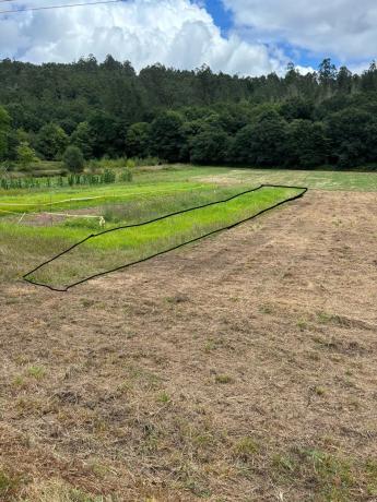 Terreno en Cp-0201, 5