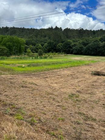 Terreno en Cp-0201, 5