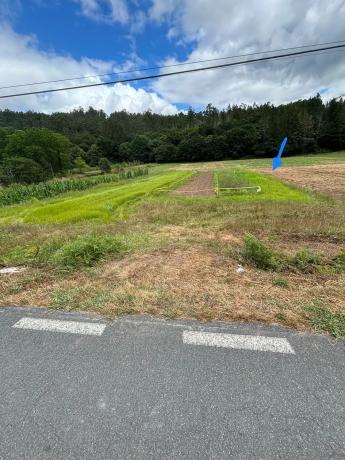 Terreno en Cp-0201, 5