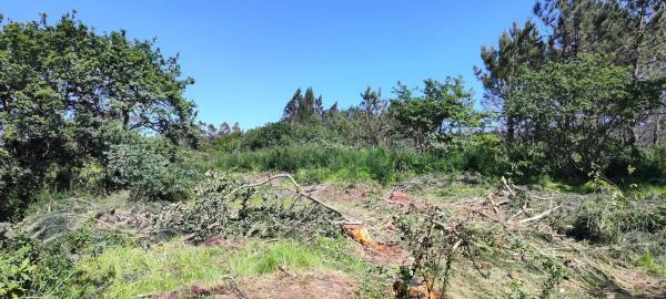 Terreno en Beade s/n