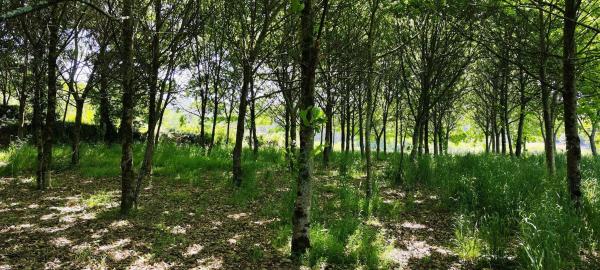 Terreno en Beade s/n