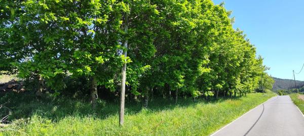 Terreno en Beade s/n